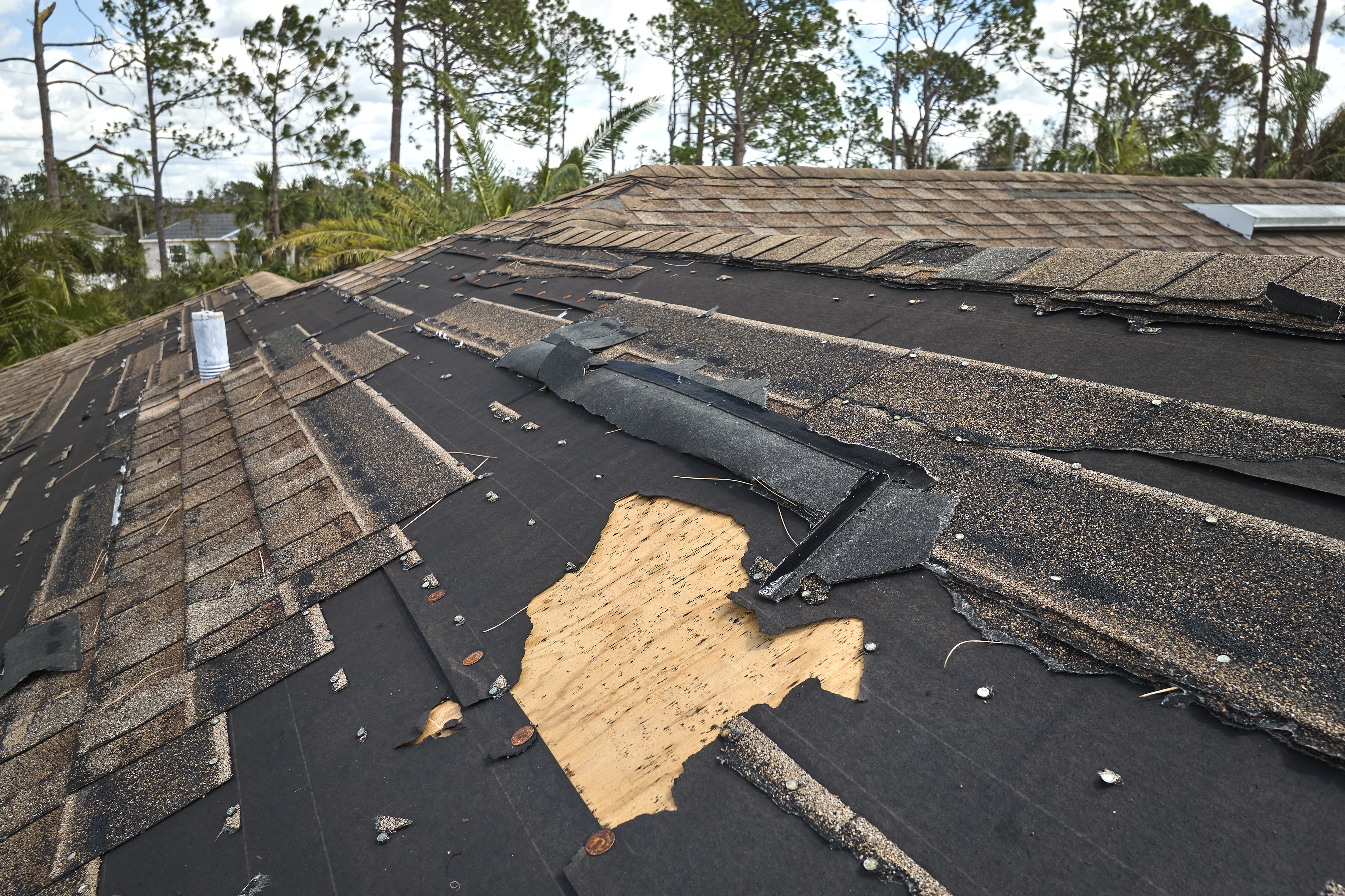 roof maintenance