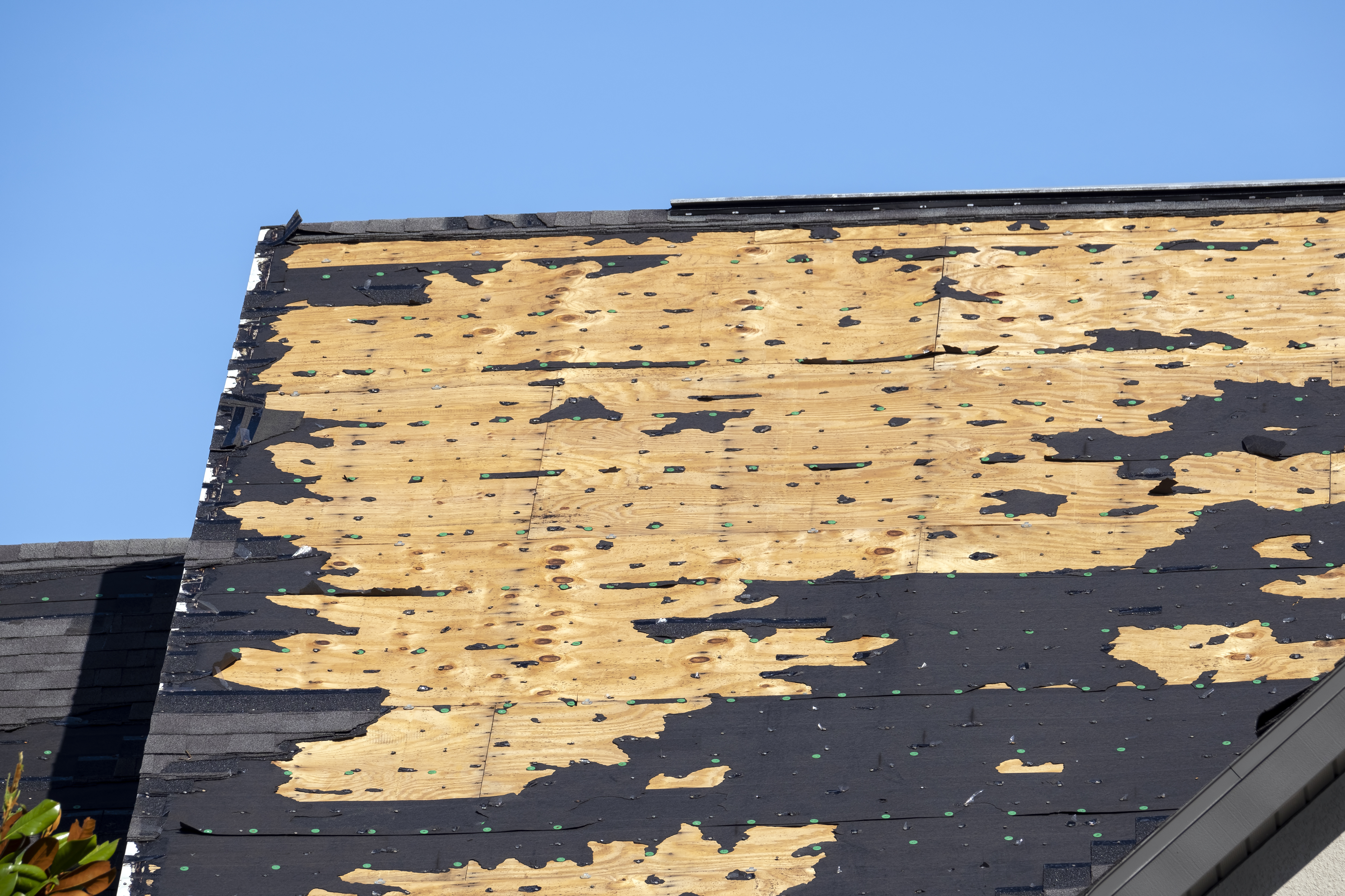 roof repairs